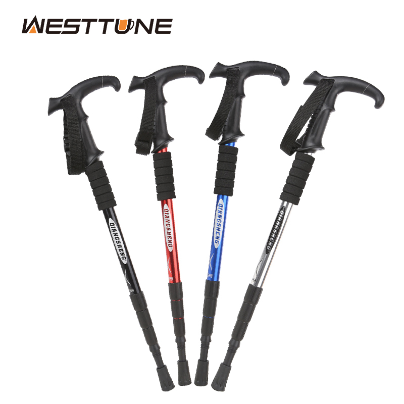 Palo de Trekking plegable para - Trekking Pole Carbon reseña y precio