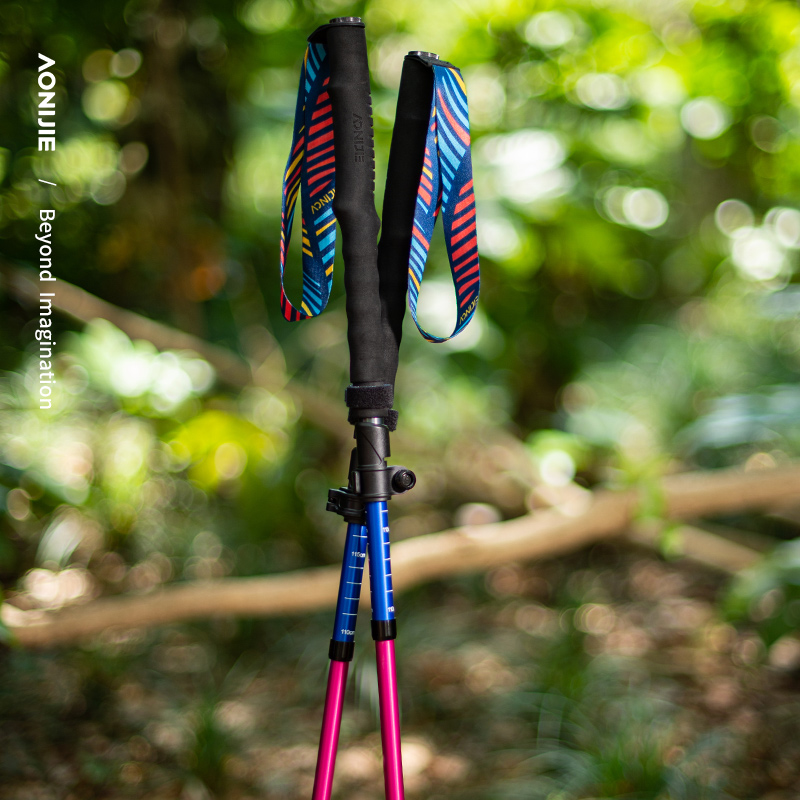 AONIJIE E4208 Unisex Color Arc - Trekking Pole Carbon reseña y precio